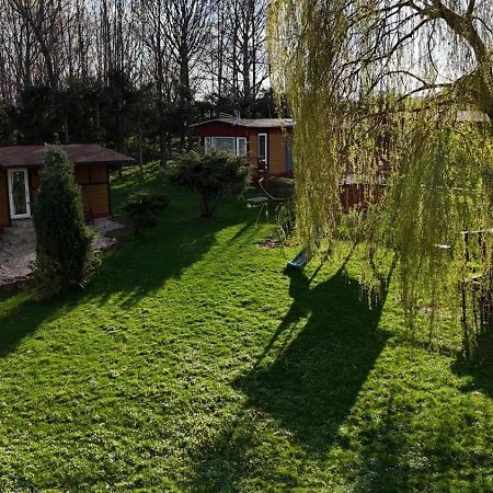 Izerski Poranek Gryfów Śląski 外观 照片